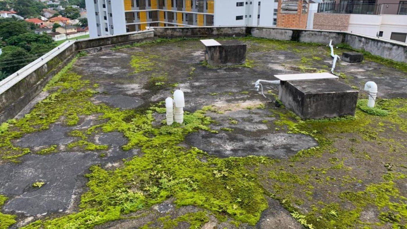 Laje de cobertura de edifício em Florianópolis tomada por musgo e vegetação, com a impermeabilização vencida