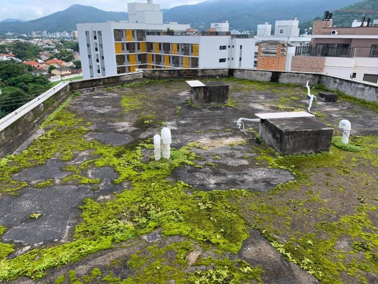 Laje de cobertura de edifício tomada por limo e vegetação, com impermeabilização vencida